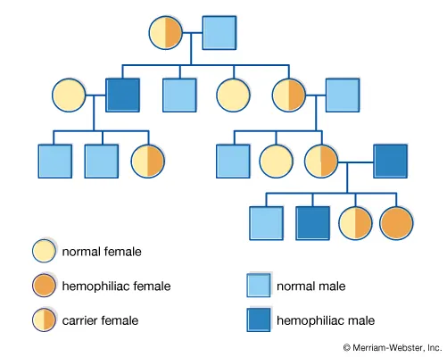 Pedigree chart showing inheritance patterns