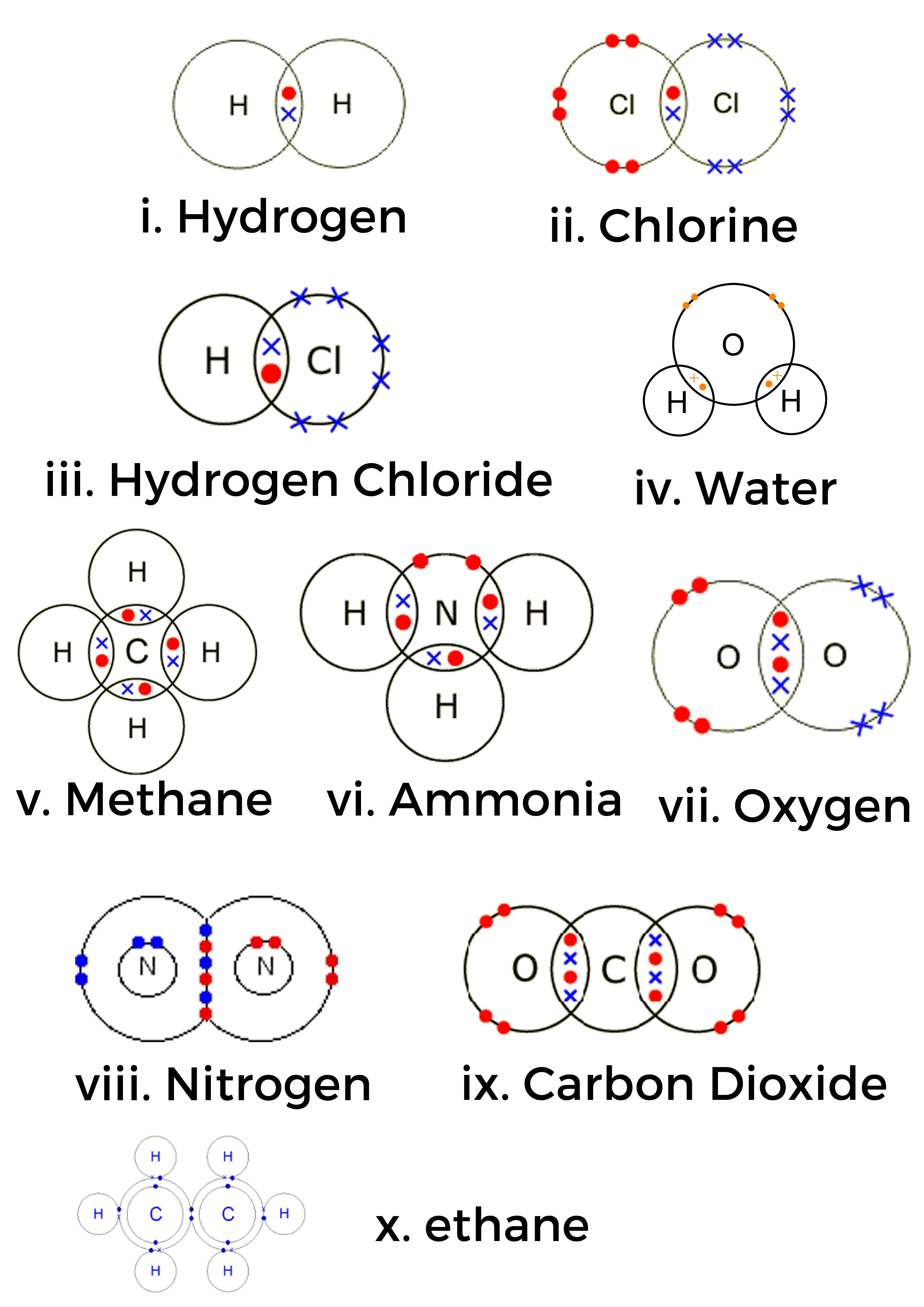 Dot-and-cross diagrams for H₂, Cl₂, HCl, H₂O, NH₃, CH₄, O₂, CO₂, and N₂