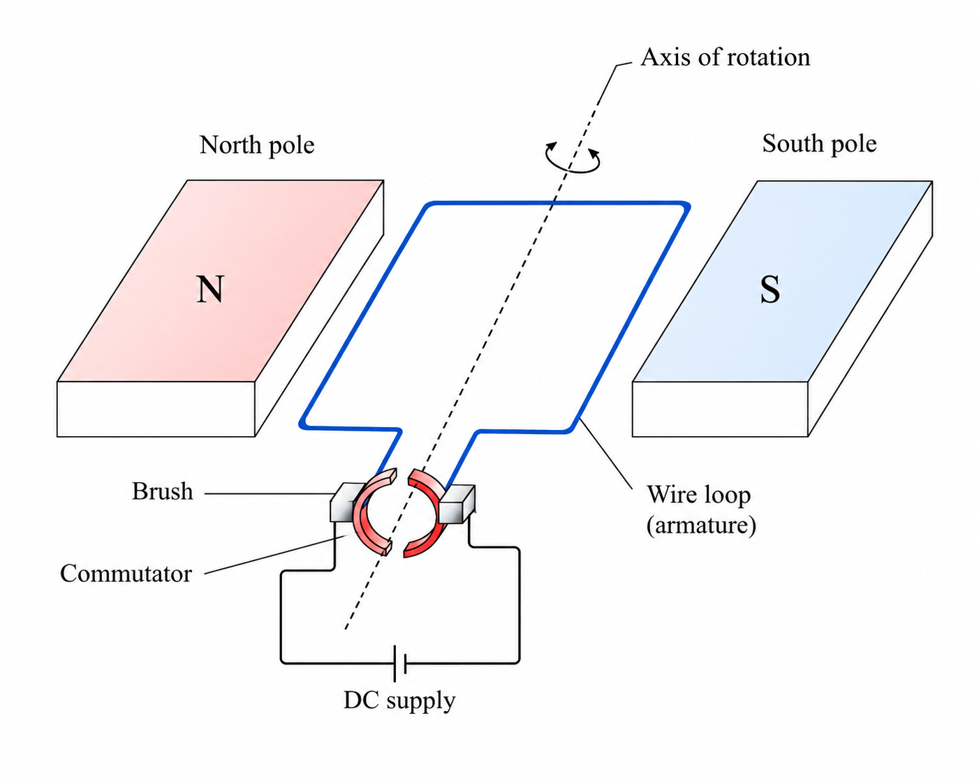 Diagram showing a rectangular coil between north and south magnetic poles; upward and downward force arrows on opposite sides of the coil create a turning couple, causing the coil to rotate
